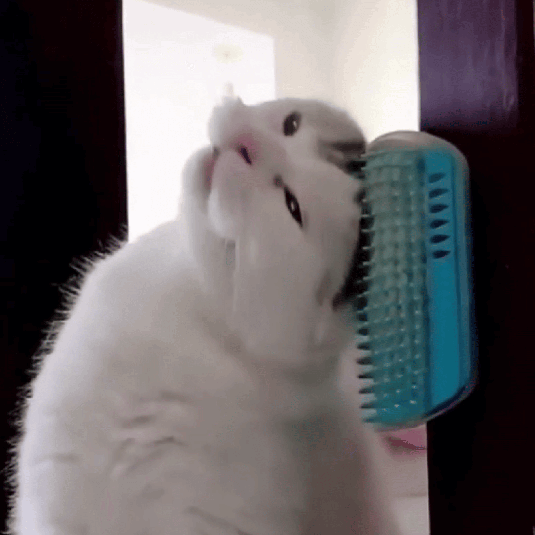 Massageador e Escova para Pets
