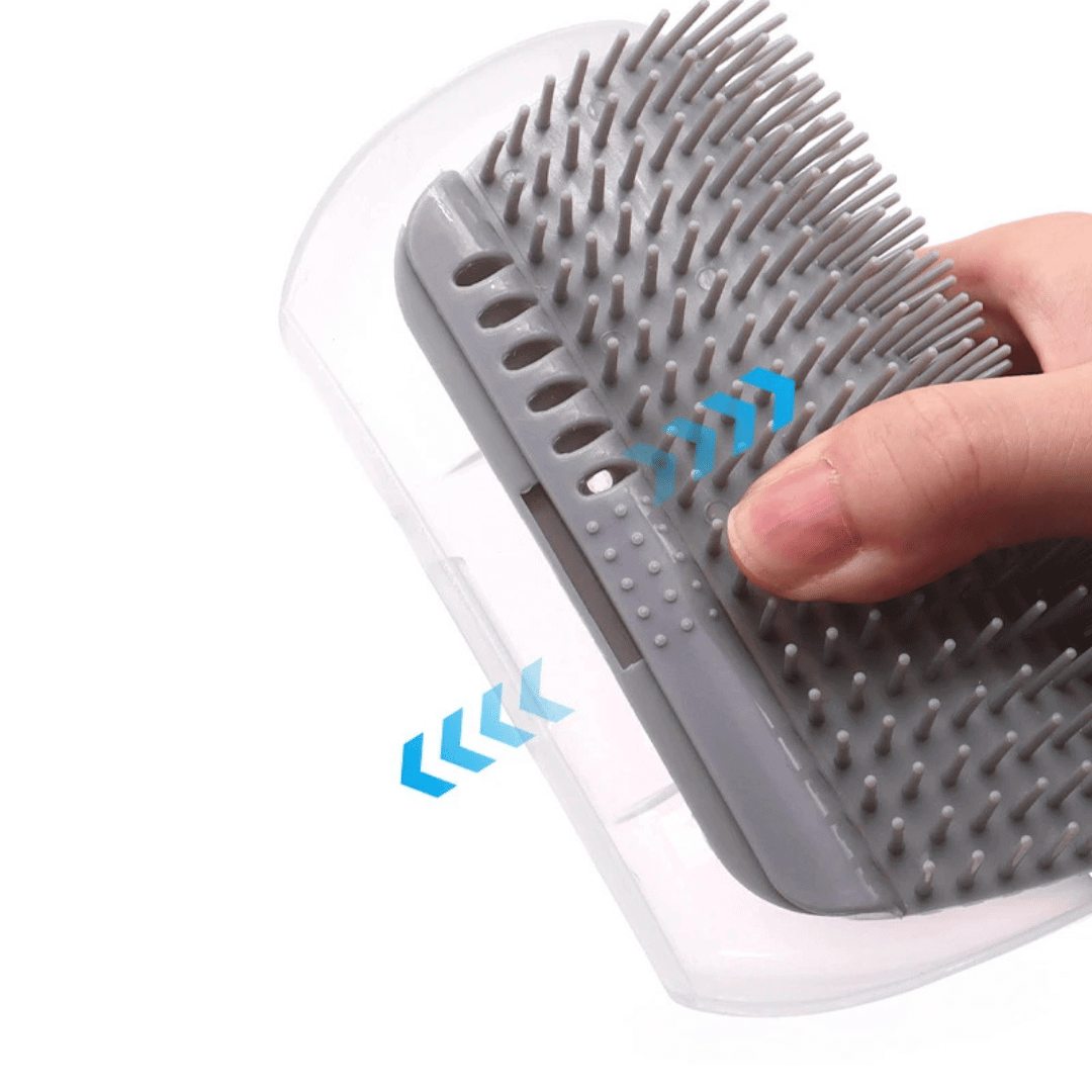 Massageador e Escova para Pets