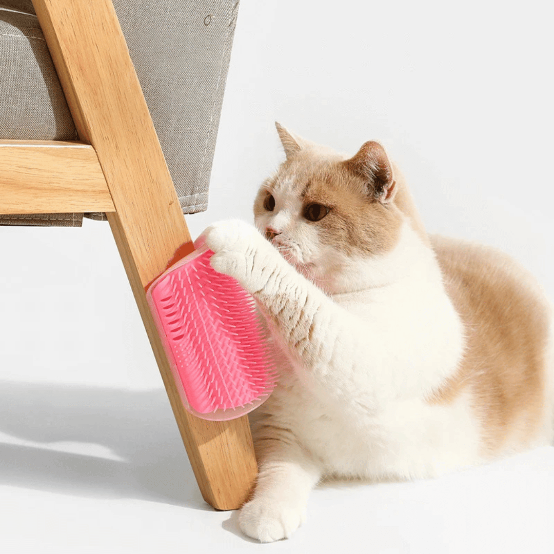 Massageador e Escova para Pets